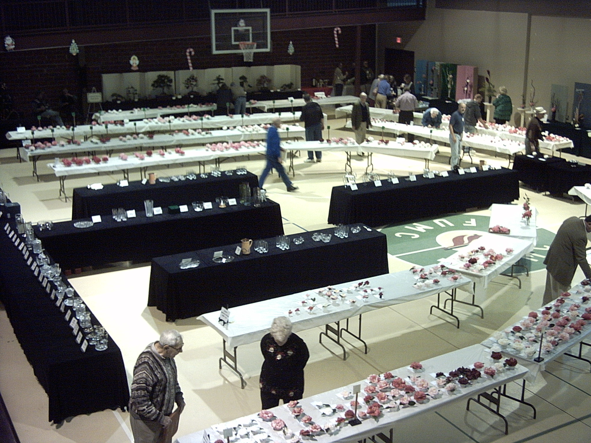 Wide view of Pensacola Camellia Show - 2004