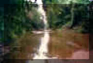 McCall Creek.jpg (36134 bytes)