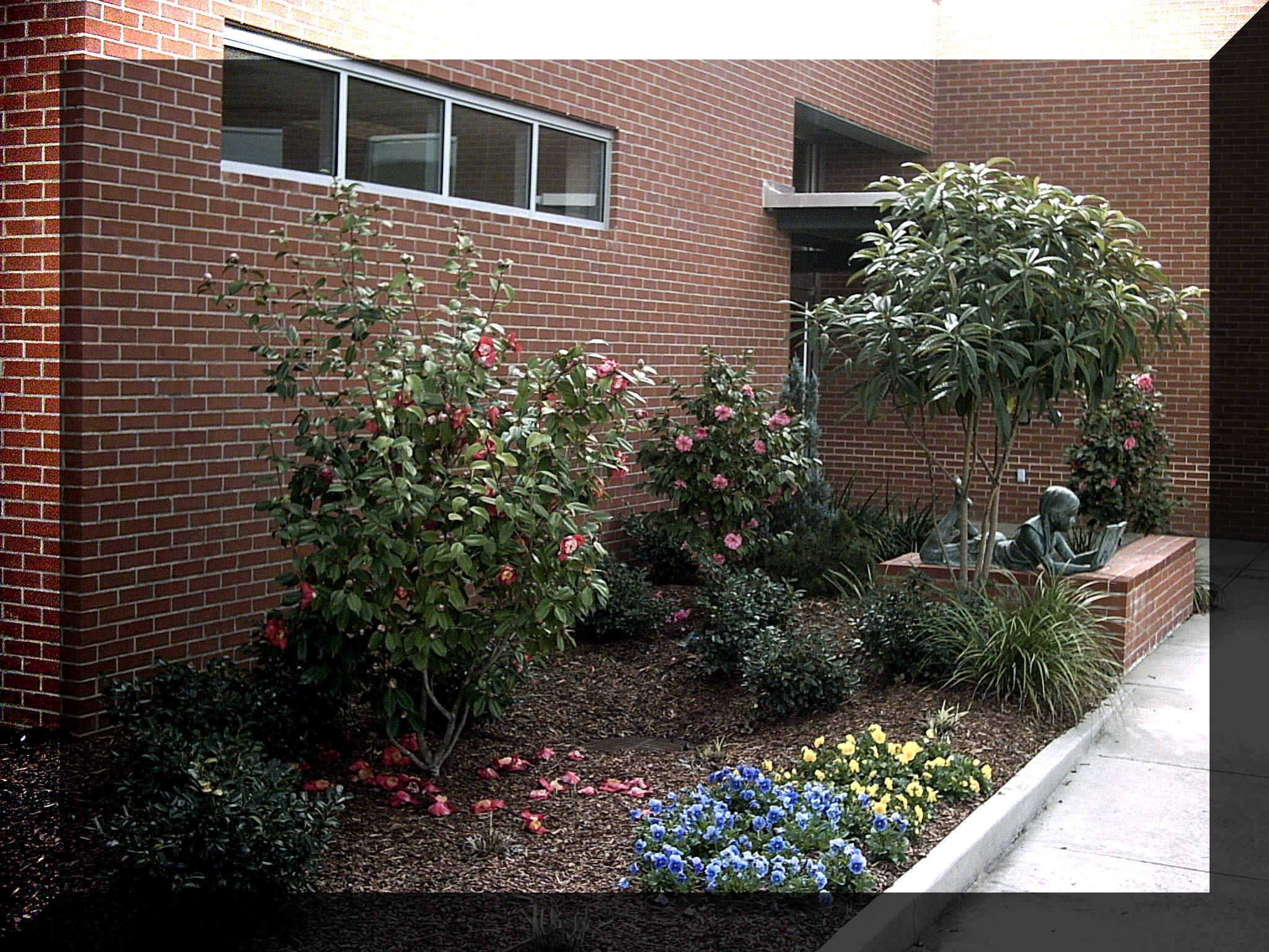 Lincoln County Library