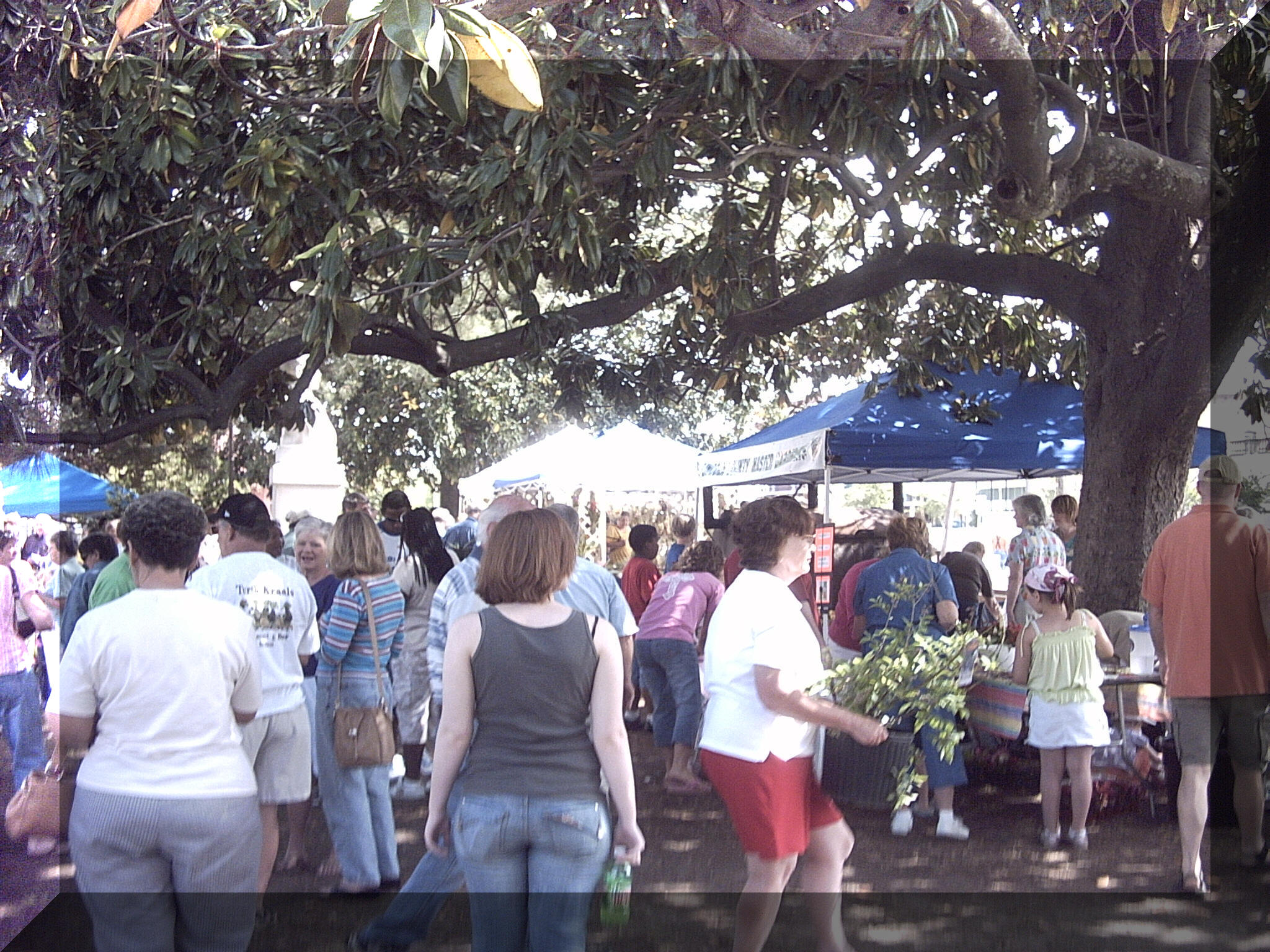 Spring Garden Extravaganza